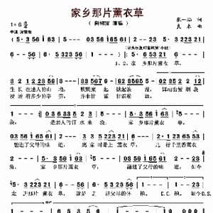 家乡那片薰衣草_歌曲简谱_词曲:张一涵 良木