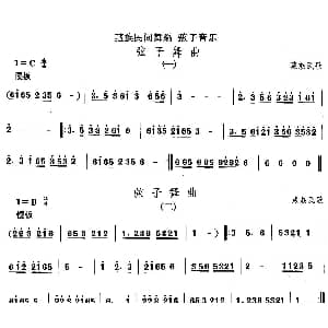 弦子 弦子舞 藏族舞蹈 中国民族民间舞曲选