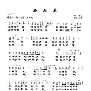 骆驼草_歌谱投稿_词曲:予子 胡旭东