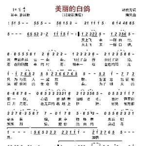 美丽的白鸽_歌曲简谱_词曲:韩传芳 南风
