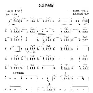 二胡谱 | 宁静的湖泊 埃里克.科茨