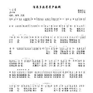 情愿多数星星少数钱_歌谱投稿_词曲:袁梅松 王国华