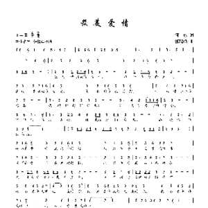 最美爱情_歌曲简谱_词曲:何也 郭瑞峰