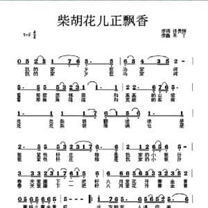 柴胡花儿正飘香_歌曲简谱_词曲:许贵祥 禾丫