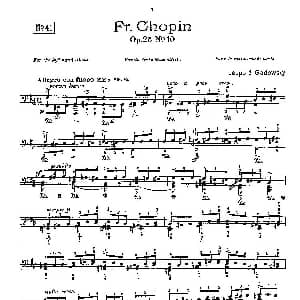 53首以肖邦练习曲为素材而作的练习曲 钢琴谱 里奥鲍尔德 戈多夫斯基