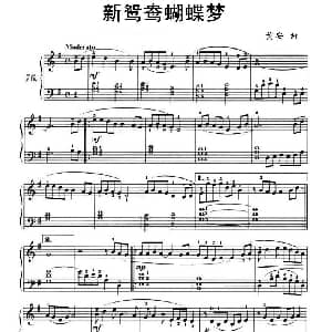新鸳鸯蝴蝶梦 钢琴谱 黄安