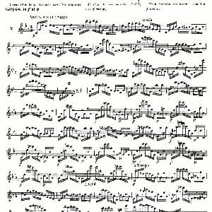 长笛曲谱 | 基于维尼亚夫斯基练习曲的10首长笛练习曲之2 Moyse 10 Studies After Wieniawski 伊斯Moyse