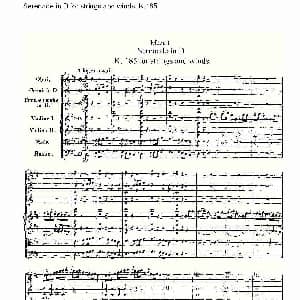 Serenade in D for strings and winds, K.185 D调管弦乐小