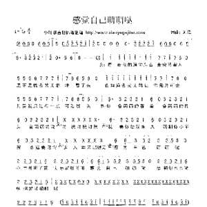 感觉自己萌萌哒_歌曲简谱_词曲:刘维 刘维