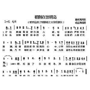 相别在崇明岛_通俗唱法乐谱_词曲:胡金海 填词