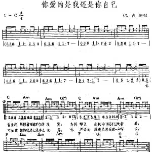 民族吉他弹唱 你爱的是我还是你自己 吉他谱 苏芮