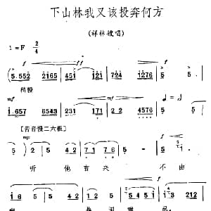 秦腔 祝福 唱腔选 下山林我又该投奔何方 祥林嫂唱段