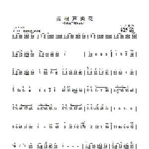 拔根芦柴花 简版 _歌曲简谱_词曲: 朱昌耀编曲
