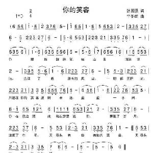 你的笑容_通俗唱法乐谱_词曲:张国强 宁冬虎