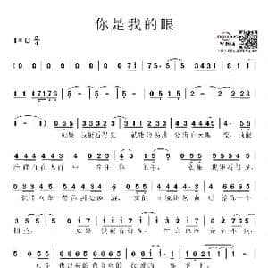 你是我的眼 _歌谱投稿_词曲:萧煌奇 萧煌奇 作曲 陈飞牛 编曲