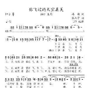 你飞过的天空真美_歌曲简谱_词曲:韩毅 张天宇