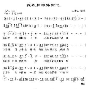 我在梦中伴你飞_歌曲简谱_词曲:人里人 人里人