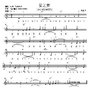 电子琴谱 | 爱之梦 线简谱混排版 李斯特
