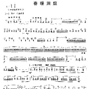 笛子谱 | 春暖洞庭