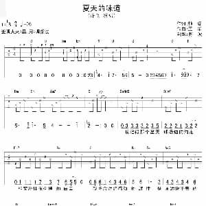 夏天的味道 吉他谱 钟珊 王华