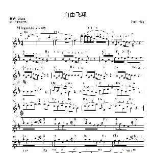 电子琴谱 | 自由飞翔 张超 张超