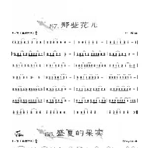 葫芦丝谱 | 葫芦丝曲精选 那些花儿 盛夏的果实 王甲坤 王甲华编著