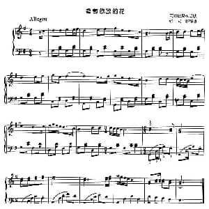 含苞欲放的花 钢琴谱