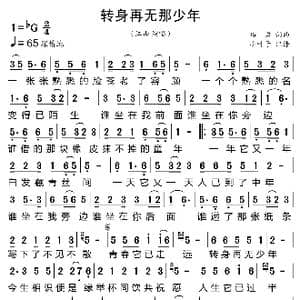 转身再无那少年_歌曲简谱_词曲:珞岩 珞岩