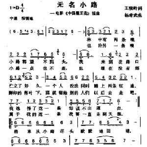 无名小路_通俗唱法乐谱_词曲:王晓岭 杨希武