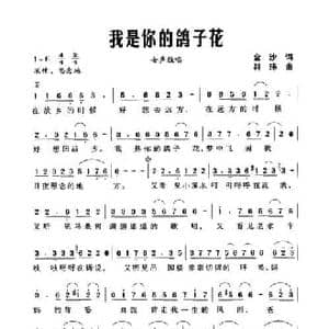 我是你的鸽子花_民歌简谱_词曲:金沙 符玮