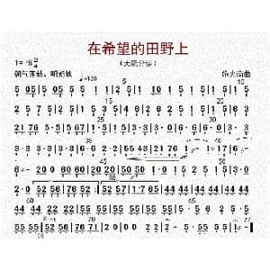 在希望的田野上_歌曲简谱_词曲: 李国林配器
