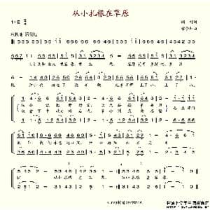 从小扎根在草原_歌谱投稿_词曲:谢刚 梁今知
