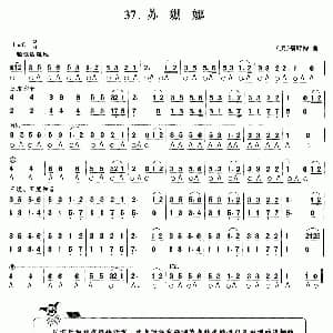 口琴谱 | 苏姗娜 美 福斯特