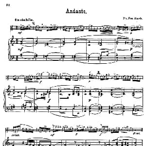 小提琴谱 | Andante. 小提琴 钢琴伴奏