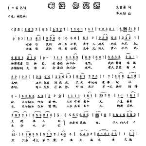 老婆你莫怨_歌曲简谱_词曲:袁贵勇 李云翔