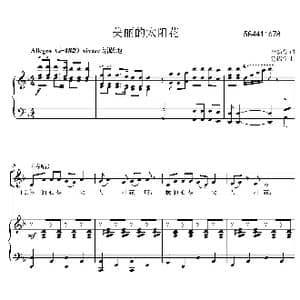 美丽的太阳花合唱谱_歌曲简谱