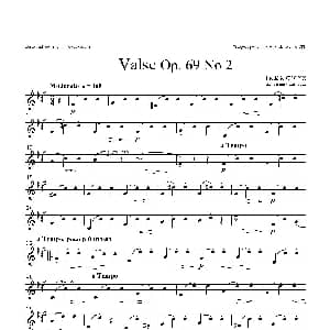 萨克斯谱 | b小调圆舞曲 Op.69 No.2 四重奏上低音萨克斯分谱 肖邦