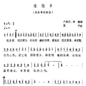 在他乡_通俗唱法乐谱_词曲:卢庚戍 栗子