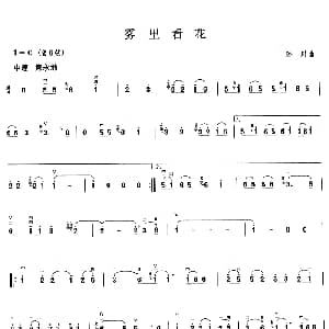 二胡谱 | 雾里看花