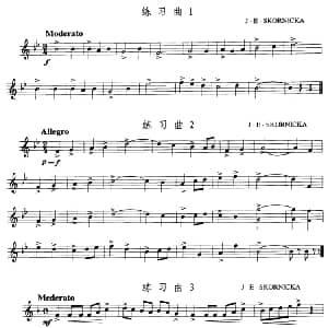 小号考级一级练习曲6首 J・E・SKORNICKA