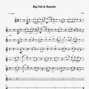 大鱼_歌谱投稿_词曲:尹约 钱雷