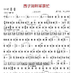 西子湖畔采茶忙_歌曲简谱_词曲: 蒋国基