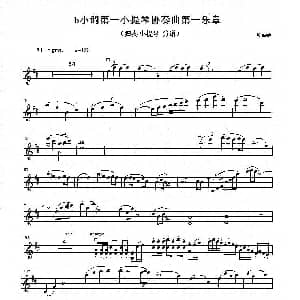 小提琴谱 | b小调第一小提琴协奏曲第一乐章 独奏小提琴分谱 项道荣