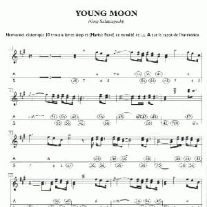 口琴谱 | YOUNG MOON A调口琴