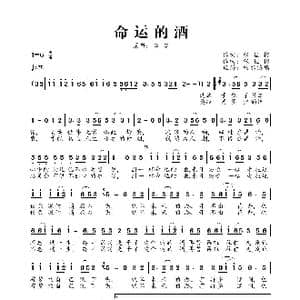 命运的酒_歌曲简谱_词曲:张佳彬 张佳彬