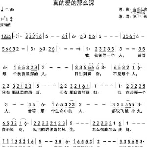 真的爱的那么深_通俗唱法乐谱_词曲:王宝山 王宝山