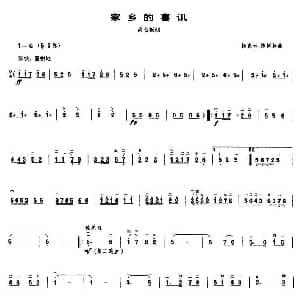 家乡的喜讯 高音板胡