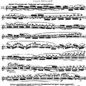 长笛曲谱 | 卡 伊勒特30首长笛练习曲Op.107 NO.22 NO.24 Karg Elert 卡 伊勒特