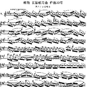 长笛曲谱 | 柯勒长笛练习曲作品33号 第三册 7 埃内斯托 柯勒 ERNESTO KOEHLER