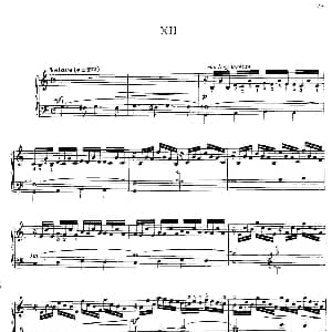 20 Petites Etudes, Op.91 钢琴谱 莫什科夫斯基